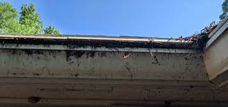 We had lots of drips coming under the guttering on our log cabin. Mainstream Gutter Guards Performance Problems To Consider Gutterbrush