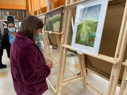 Con Exposición de la pintora María Ester Chapa finaliza ciclo 'Más Arte,  Más Salud' en el Hospital Puerto Montt
