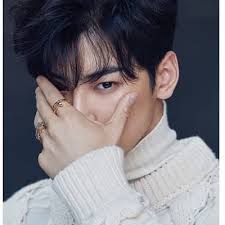 Can't find a movie or tv show? Cha Eun Woo Bio Age Height Single Nationality Body Measurement Career