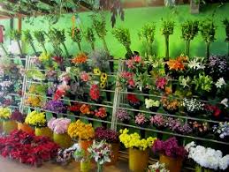 We accept order online and delivery flowers and gifts to kuala lumpur and however, in modern times being able to live in ampang is considered to be a status symbol, as it is where all the ambassadors stay close to the. Florist Kl Kuala Lumpur Flower Delivery Selangor Flower Shop Malaysia Shirley Florist