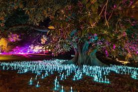 Vivid Sydney Royal Botanic Gardens Vivid Sydney City Sydney
