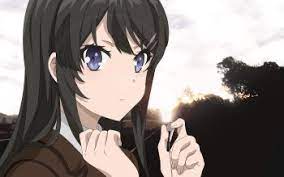 Sure they're shy, everyone making i really think mai is what makes their relationship what it is though. 90 Mai Sakurajima Hd Wallpapers Background Images