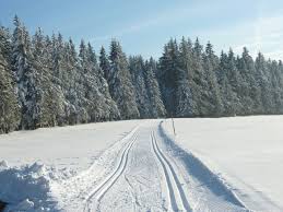 Man trifft sich beim fest im. Winter Auf Dem Oberhofenhof Urlaub Im Schwarzwald Bei Titisee