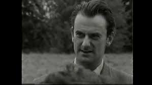 View from the Window