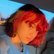 Nephrolepis Cordifolia Plant Care: Water, Light, Nutrients