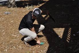Do it yourself pest control supplies for the home, yard and garden. Bug House Pest Control Services In Georgia Get A Free Quote