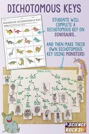 Dichotomous Keys Activities Life Science Middle School Biology Lessons Dichotomous Key