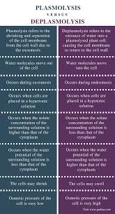 Difference Between Plasmolysis And Deplasmolysis Definition Mechanism Result And Differences