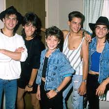 Menudo was one of the biggest latin boy bands in history, releasing their first album in 1977. Menudo Boy Band Series Announced Led By Mario Lopez