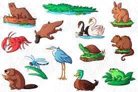 Check spelling or type a new query. Wetland Animals Clip Art Graphic By Keepinitkawaiidesign Creative Fabrica