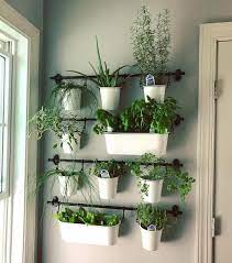 Indoor Herb Gardens On Instagram For The Kitchen Well Good Herb Garden Wall Herb Garden In Kitchen Diy Herb Garden
