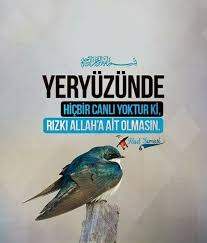 Kurandan Bir Ayet Dualar Islamic Quotes Islam