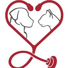 Maybe you would like to learn more about one of these? 1st Pet Veterinary Centers Home Facebook