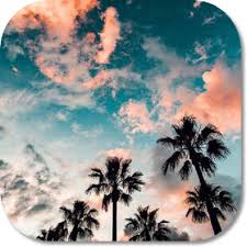 Beautiful wallpapers browse latest collection of beautiful wallpapers, images, pics and photos in hd resolutions available in different sizes which perfectly… Beautiful Sky Hd Wallpapers Amazon De Apps Spiele