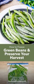 Great hub deborah on how to freeze fresh veggies. How To Freeze Green Beans And Preserve Your Green Bean Harvest Nurtured Homes