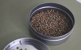 These are not strains of marijuana; The Difference Between Hemp And Cannabis Seeds Sf Weekly