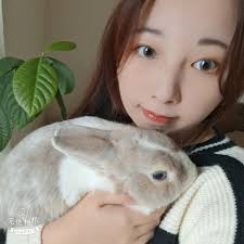 全中.....還有白爛貓，超多直男愛用