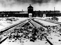 The shoa community on reddit. Interviews Mit Holocaust Zeitzeugen Online Abrufbar Archiv