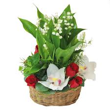 Livraison de bouquets de muguet avec des frais de livraison réduits pour l'occasion ! Pour Le 1er Mai Offrez Du Muguet Fondation Cos