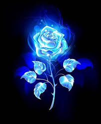 123rf Millions Of Creative Stock Photos Vectors Videos And Music Files For Your Inspiration And Pr Blue Roses Wallpaper Black And Blue Wallpaper Blue Roses