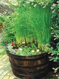 And then i bought an aloe and that went well. Rooms Viewer Small Water Gardens Container Water Gardens Water Features In The Garden