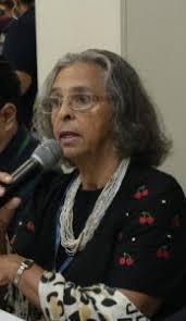 O Rio Paranapanema”