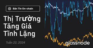 Vietnamese - Glassnode Insights - On-Chain Market Intelligence