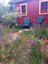 When to plant zucchini in colorado. Colorado Mountain Gardener November 2018