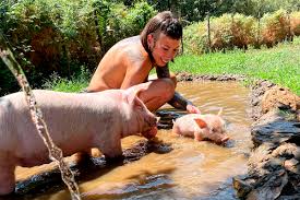 El santuario de animales castrados de Fanny, la vegana de las gallinas  violadas y hoy trabajadora sexual | Crónica