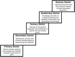 Primary Secondary Tertiary Sectors Of Economy In 2020 Economic Geography Ap Human Geography Education Policy
