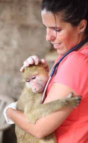 Pan African Sanctuary Alliance Annual Report • 2018