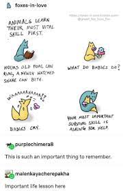 It S Okay To Ask For Help R Wholesomememes Wholesome Memes Know Your Meme