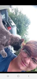 Found neutered male cat in Ebervale area