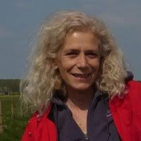 PDF) Philip K. Dick: 13 Novels