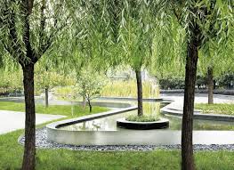 Cicada Landscape Architecture Landscape Architecture Design Modern Landscaping Landscape Architecture