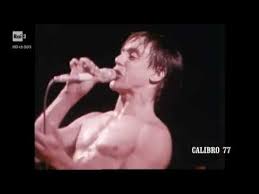 I was laying on my back on the floor of the stooges rehearsal room, stoked on lsd and reefer, staring at the lovely amplifiers and egg cartons on the walls, when i thought i saw the word funhouse hovering above me in the air, just. Iggy Pop 1980 Youtube