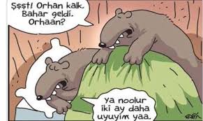 Lemanist Karikatur Komik Komik Seyler