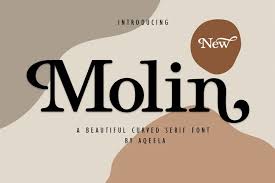 ️ customize your own preview on ffonts.net to make sure it`s the right one for your designs. Molin 348449 Serif Font Bundles