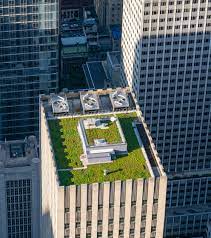 We did not find results for: How Cities Are Driving Growth In The Green Roofing Market