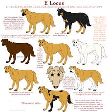 Dog Colors Guide Red By Leonca Deviantart Com On Deviantart Dogs Dog Coats Dog Chart