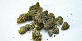 Voilà ce qu'il évoque ainsi que les directives européennes concernant la culture de. Cannabis En France La Loi N Est Pas Claire Regrettent Les Professionnels