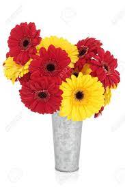 Maybe you would like to learn more about one of these? Gerbera Flower Arrangement In Red And Yellow In An Old Aluminium Stock Photo Picture And Royalty Free Image Image 15124524