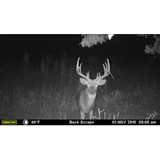 The xv7000i operates on the verizon 4g cellular network. Amazon Com Moultrie Mobile Xv7000i Cellular Trail Camera Verizon Network Everything Else