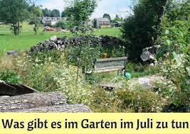 Es gibt auch diverse salate, bspw. Was Gibt Es Im Garten Im Juli Zu Tun Haus Und Beet