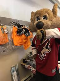 Aug 09, 2021 · a list of college colors by state and team so your pup can sport your team's colors and have team spirit just like you! Behind The Mask Arizona Coyotes Mascot Howler Not Happy With Btm Selling Other Nhl Team Hats Today At Flagstaff Annual Skate Swap Facebook