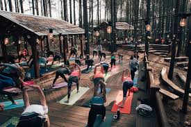 Below is a list of yoga centers located in charlotte. Free Yoga Sessions Every Day At U S National Whitewater Center Charlotte On The Cheap