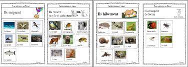 les animaux en hiver qui hibernent hibernation coloriages gratuits de chat noir