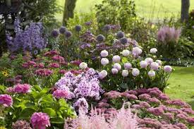 Garten Blumen Pflanzen Garten Blumen Pflanzen Garten Und Bauen Blumen Pflanzen Garten Pflanzen