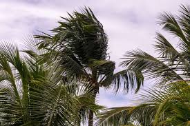 Inmet emite alerta de vendaval para Pernambuco