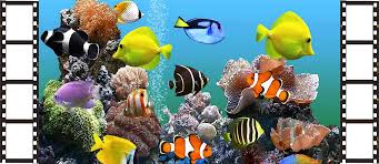 Maybe you would like to learn more about one of these? Wallpaper Hidup Untuk Komputer
